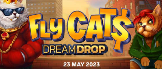 Relax Gaming vie pelaajat New Yorkiin Fly Cats -kolikkopelissÃ¤